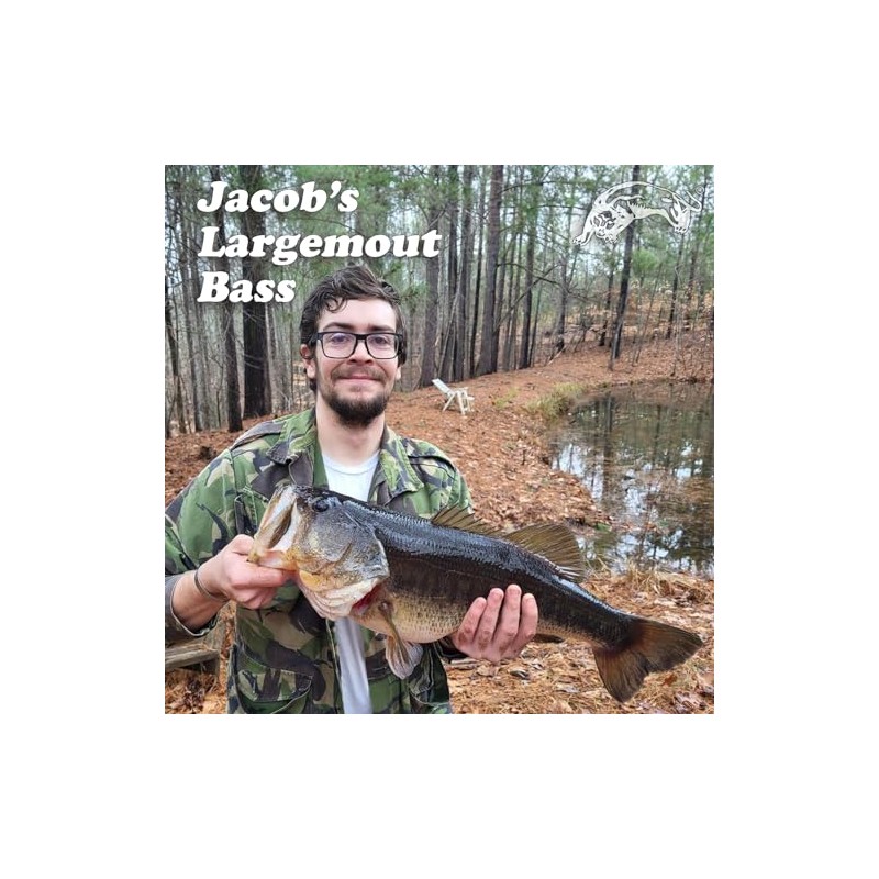 Panther Martin PMHR_18WR_S HulaRunner Saltwater & Freshwater Fishing Spinning Lure