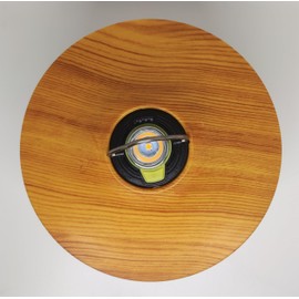 Naokin Goal Zero Shade for GOAL ZERO Lantern Shade Outdoor Camping Lantern Flat Reflector Goal Zero Custom Accessory Round (Yellow Wood Grain))