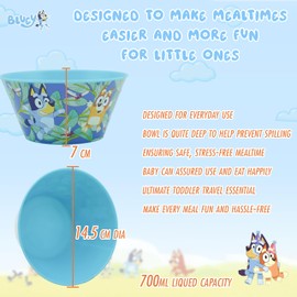SRV Hub Bluey Reusable Plastic Snack Bowl, 700ml BPA Free Kids Travel Bowl Lightweight Stackable, Hand Wash Only Self Feeding Rice for Kids 4+ Year