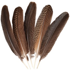 Natural Wild Peacock Feather Wings 11-13 inches (30-35 cm) are Used for handicrafts, Family Weddings, Party Performances, DIY Decoration