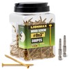 LIONMAX Deck Screws 3 Inch, Wood Screws #9 x 3",