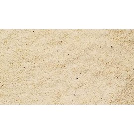 Filberts / Hazelnuts, BLANCHED Skinless Raw Premium Quality Flour, Vegan, KETO, Substitute, Gluten-Free, Turkish, Baking, packed in a resealable pouch bag of 1 lb. (16 oz.) by Presto Sales LLC