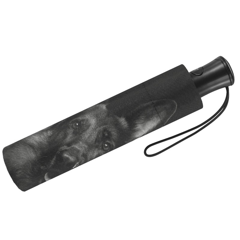 Automatic Umbrella Black Dog, multicoloured