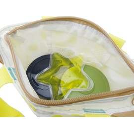 Torne Ice Crimson Aster Yellow P – 3178 