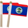 TSMD Belize Stick Flag Belizean Small Mini Hand Held Flags,5x8