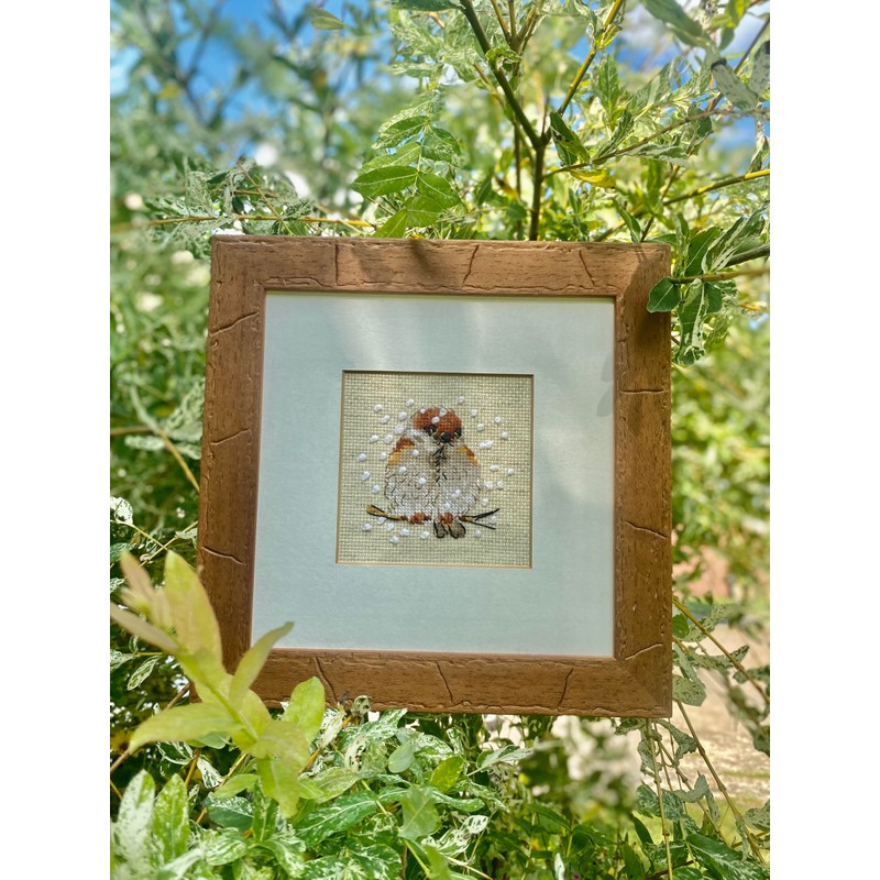 RIOLIS - Passero 1680, Punto croce 10x10cm, Punto croce kit