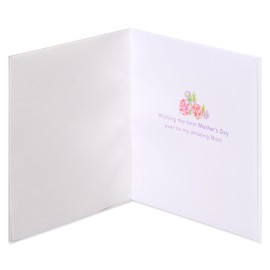 Papyrus Mother's Day Card (My Amazing Mom)