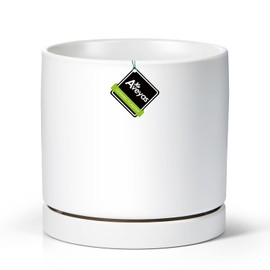 Aveyas 8 inch Ceramic Plant Pot with Drainage Hole and Saucer - Suitable for Indoor and Outdoor Use, Modern Planters for House Garden Flower Tree Snake Monstera Plants (8", Matte White)