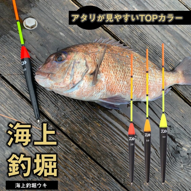 DAIWA Marine Fishing Boat Float Set