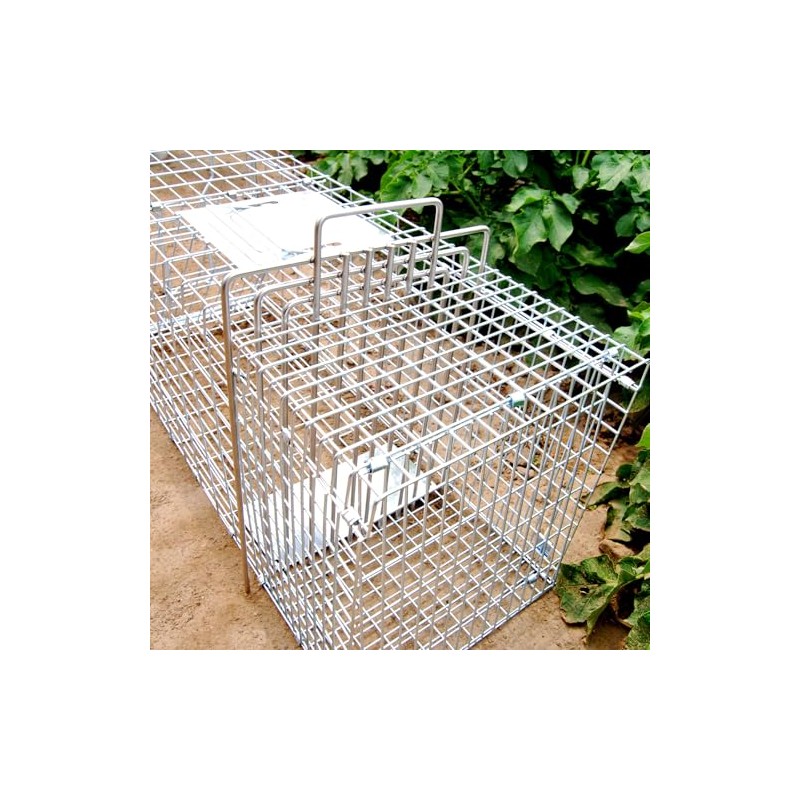 Trap Divider for Animal Traps - Superior Stainless Steel Cat