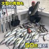 Lure, Metal Jig, 7.4 oz (210 g), Long Yellowtail, Inshore