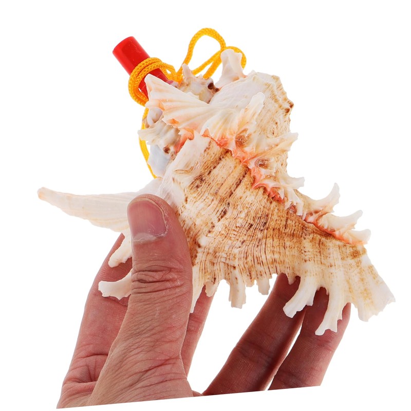 Conch Whistle, Alasum Whistle for Large Seashell Whistle, Shell Toy,
