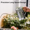 Small Watering Can Indoor Plants with 2 Spray Modes -