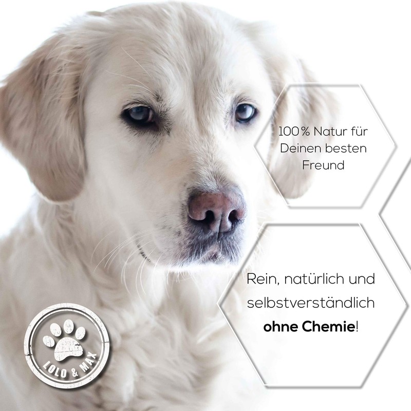 Lolo & Max Ear Mite Drops - Ear Mite Drops