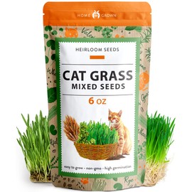 HOME GROWN HOME GROWN Cat Grass Seeds (6oz) - Barley & Oat Seeds Mix - Keep Pets Healthy with Cat Grass for Indoor Cats - Cat Grass Seeds Bulk - Refill Cat Grass Growing Kit-100% Non-GMO, Heirloom Cat Grass Seed