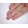 NASKA Safety Eyes 2mm Black 6 pieces 7270