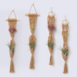 Shineloha 4 Pack Air Plants Holders, Wall Planters for Indoor Plants | Macrame Plant Hanger, Air Plant Hanger for Air Fern, Tillandsias, Live Houseplants & Succulent (NO Plant Included)