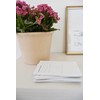 Todaisy Paper Church Notes Notepad 5.5 x 8.5 Tear Away