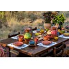 Cactus Canyon Ceramics Spanish Terracotta Deep Serving Dish
