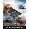 3W Floor Mats & Front Carpet for Dodge Ram 1500