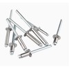 POP Rivets Set, M2.4/M3.2/M4/M4.8/M5 Sizes, Blind Rivets for Multiple Applications