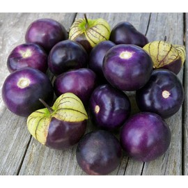CEMEHA SEEDS - Seeds Purple Cape Gooseberry Goldenberry Groung Cherry Physalis Non GMO Vegetable for Planting