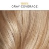 Clairol Professional Permanent Crème Hair Color