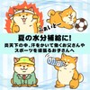 Petit Gift.com Pocari Sweatshirt, Powder, Hydration, Ion, Electrolyte, Sports, Club