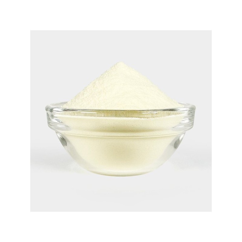 Oherb 유청분말 2kg(1kg+1kg) 유청가루 Whey Powder 2kg (1kg+1kg) Whey Protein