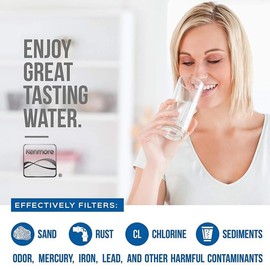 Wagbay 9083 Replacement for Kenmore® 9083, 9030, 46-9083, 46-9030 (Pack of 2)