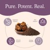 Real Mushrooms Chaga Mushroom Capsules – Organic Chaga Extract Powder