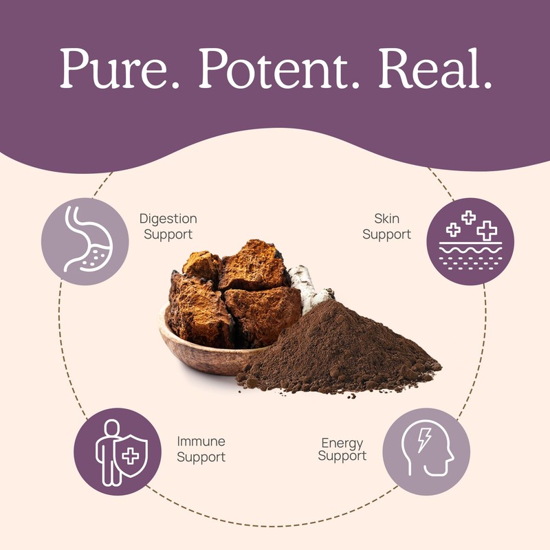 Real Mushrooms Chaga Mushroom Capsules – Organic Chaga Extract Powder