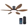 Ceiling Fans with Lights, 51 inch Modern Low Profile Ceiling