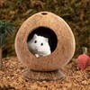 Yeqqzq Coconut Hut Hamster House Bed, Coconut Shell House for