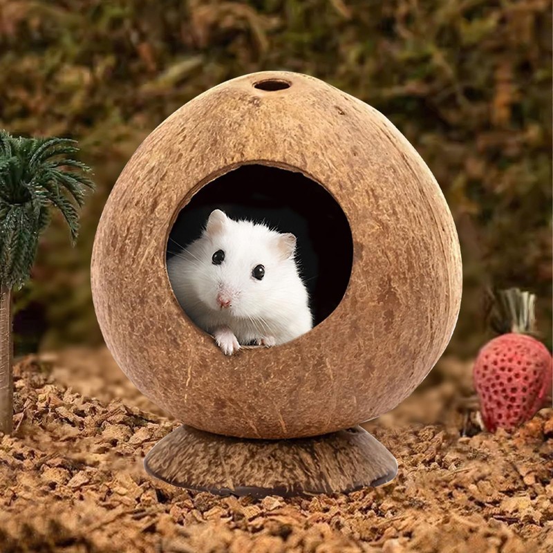 Yeqqzq Coconut Hut Hamster House Bed, Coconut Shell House for