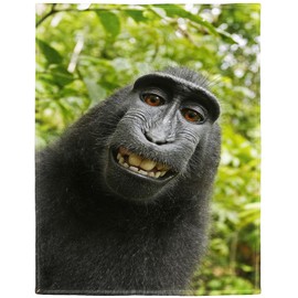 HommomH 50"x60" Monkey Blanket Funny Animal Selfie Blankets Soft Warm Plush Fleece Throw for Couch Sofa Bed