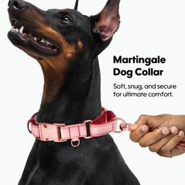 WHIPPY Vegan Leather Dog Collar No Slip Martingale Dog Collar with Quick Release Metal Buckle for Large Medium Small Dogs,Pink