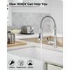 HOIGY Chrome Kitchen Sink Faucet with Sprayer, 3-Function Single Hole