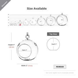 WGVI Clear Glass Terrarium Globe for Succulents Air Plants Candle Holder 4 Inch