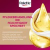 Pallet Icc 5.68Castañoroj Es