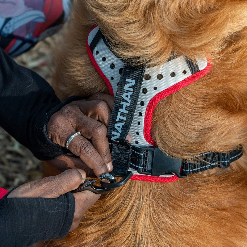 Nathan Dog Harness. Teaching Attachment/No Pull/Reflective/Lift Handle. for Running or