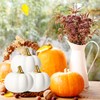 12Pcs White Artificial Pumpkins Bulk Autumn Decoration Set,Thanksgiving Pumpkin Decorations,Decorative
