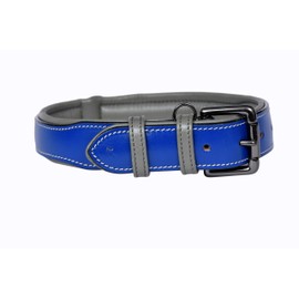 PAWSOFT Classic Luxury Real Leather | Collar de perro acolchado suave de piel genuino para perros medianos y grandes | piel con herrajes antioxidantes (tamaño - XL) se adapta a cuello 21, 22, 23, 24 y