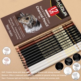 KALOUR Professional Colored Charcoal Pencils Drawing Set,12 Pieces Pastel Chalk Pencils for Sketching, Shading, Blending, Portrait, Black White Charcoal Pencils for Beginners & Artists