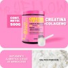 Suplemento Monohidratada Creatina Colágeno Mr. Yellow 500g