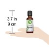 Rosemary Essential Oil 30 ml - Aceite de Esencial Romero