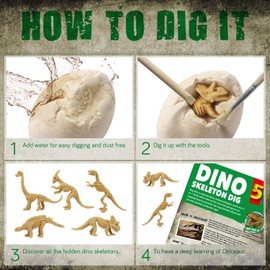EDUMAN 5-in-1 Dinosaur Dig Kit for Kids – Excavate 5 Dino Skeletons with Tools, STEM Archeology Toys for Boys and Girls Ages 6 7 8 9 10 11 12, Educational Fossil Excavation Kit Gift