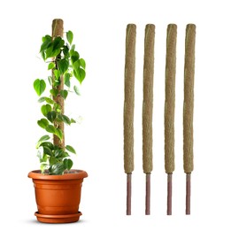 PALM NAKI Coconut Coir Totem Pole Plant Support Set of 4- Coco Coir Vertical Climbing Plant Support Sticks, Indoor & Outdoor Climber Sticks, Creeper Pole for House Plants (36 Inches)