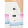 Quiksilver Men's Standard Resin Tint PCS Volley 17 Swim Trunks,