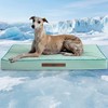 blunique Cooling Dog Bed for Large Dogs, Orthpedic Cooling Pet